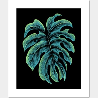 Monstera Posters and Art
